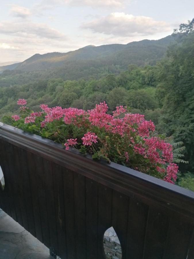 Yancheva Guest House Delchevo Exterior photo